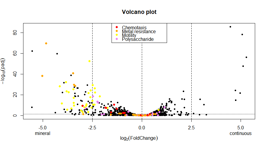 volcano1